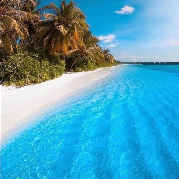 Meet your Posher, Donna! I accept most offers! Make me an offer! Many items! - Picture 4 of 15